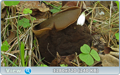 0_1061b2_48bf7ca5_orig.png