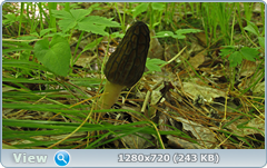 0_106487_6c58306a_orig.png