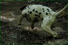 0_edefa_86a8a3d7_orig.jpg