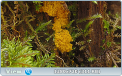 0_103839_897517db_orig.png