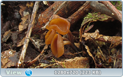 0_103e51_de42fc4b_orig.png