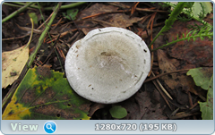 0_11084f_56a8e811_orig.png