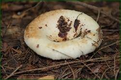 0_12b02c_d5c39620_orig.jpg