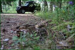 0_12b034_e3061b5e_orig.jpg