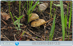 0_105f96_b548deca_orig.png