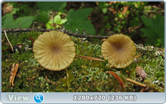 0_106522_813b695b_orig.png