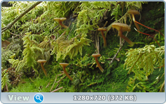 0_106528_96b19b05_orig.png