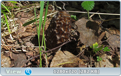 0_106591_e1bd217e_orig.png