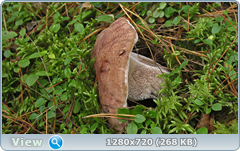 0_112234_578041e_orig.png