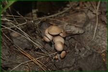 0_ea326_55864621_orig.jpg