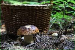 0_12856a_b924720b_orig.jpg