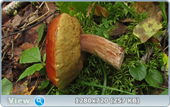 0_10f267_7b9d8b05_orig.png