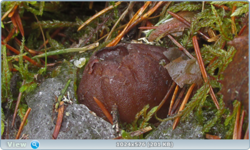 0_124541_b289ba56_orig.png