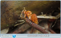 0_12afd2_6095b097_orig.png