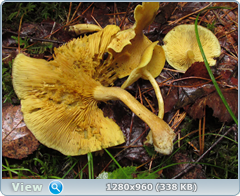 0_10ae2e_27d57cf1_orig.png