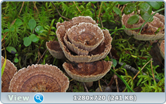 0_112246_3f20bfae_orig.png