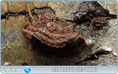 0_102032_e4b0e996_orig.png
