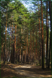 0_e309c_c3bc31d5_orig.png