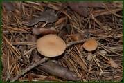 0_ec233_1137d693_orig.jpg