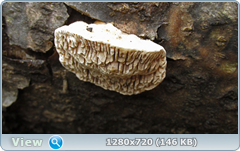 0_103811_1c439321_orig.png