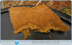 0_103e3b_bf305cd0_orig.png