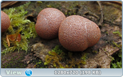 0_107385_d383732f_orig.png