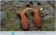 0_10c78e_a2a2610a_orig.png