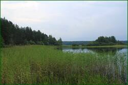 0_12921c_70ab0cd6_orig.jpg