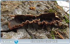 0_102034_dbcddebe_orig.png
