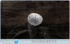 0_103e35_eeb3956e_orig.png