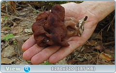 0_105536_16afd558_orig.png