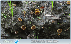 0_107eb4_2b1663a2_orig.png