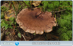 0_112232_cbf3a06e_orig.png