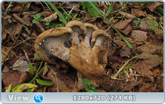 0_11223c_4e36feef_orig.png