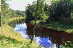 0_12b028_133cbb9_orig.jpg