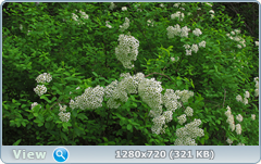 0_106ac2_89b3ad1e_orig.png