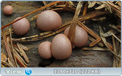 0_107372_eadda4a_orig.png