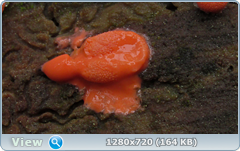 0_10738b_672e5664_orig.png
