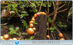 0_107391_bf1bf606_orig.png