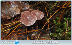 0_10929c_8ae38add_orig.png