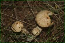 0_ea336_5e8d3f59_orig.jpg