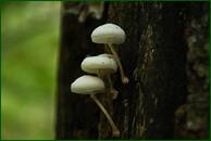 0_ef77a_84b95692_orig.jpg