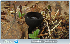0_103e4d_40e63851_orig.png