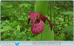 0_1086e2_67fa373e_orig.png