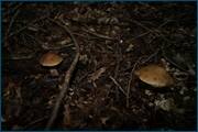 0_d2ad6_536c04bf_orig.jpg