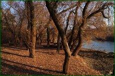 0_c5d73_6496548e_orig.jpg