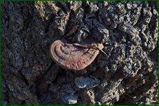 0_c5d7b_db16dc80_orig.jpg