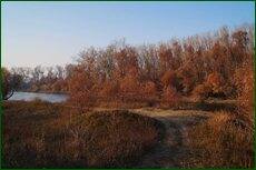 0_c5d93_8f0d3070_orig.jpg