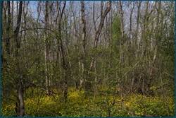 0_ccb90_d735a08a_orig.jpg