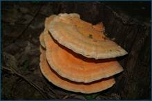 0_ce804_c261d2e2_orig.jpg